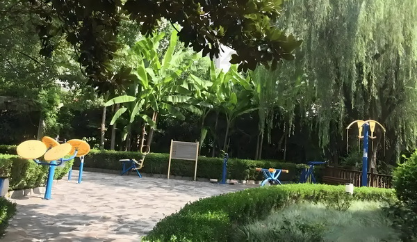 深圳应届毕业生户口办理条件_神坛上的陈佩斯：九十年代的因，今日的果 变得让响建设简单应式